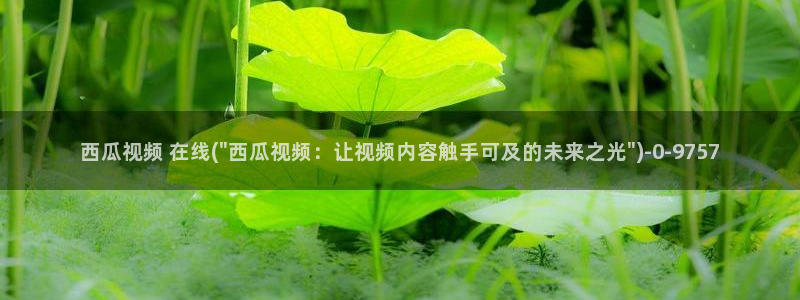 沧元图西瓜影院