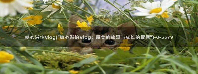 柚子猫糖心vlog