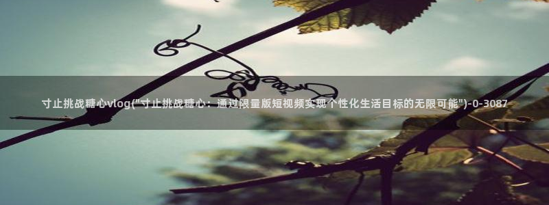 糖心官方vlog