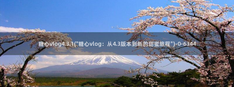 txvlogcom糖心出品