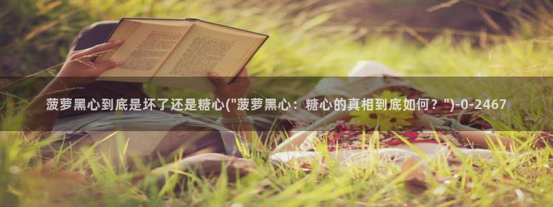 糖心vlog破解版网址