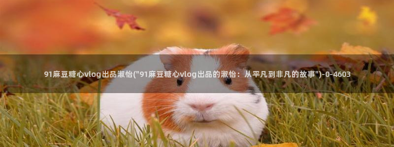 糖心vlog一区