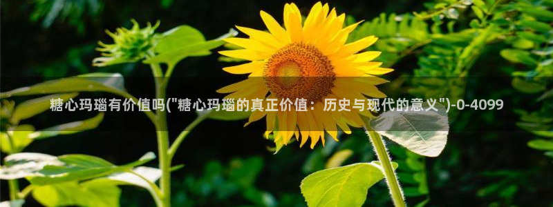 九一糖心vlog