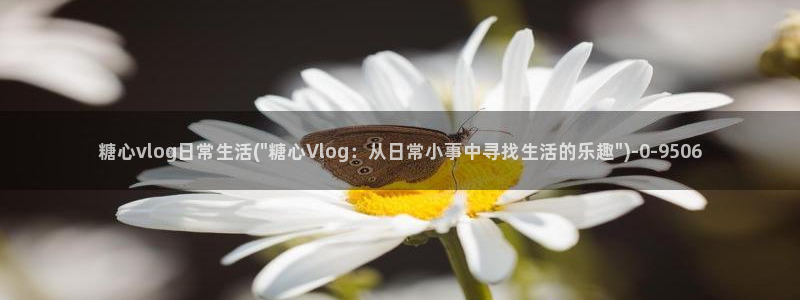 糖心vlog谁最好看
