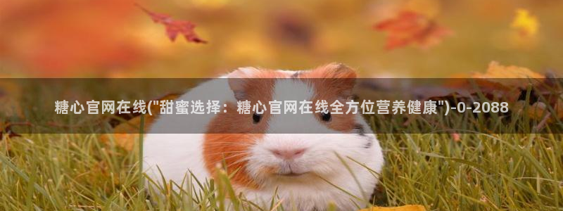 糖心vlog玩偶