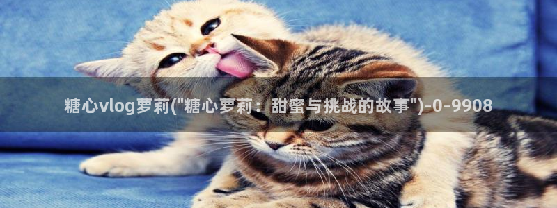 糖心 vlog下载
