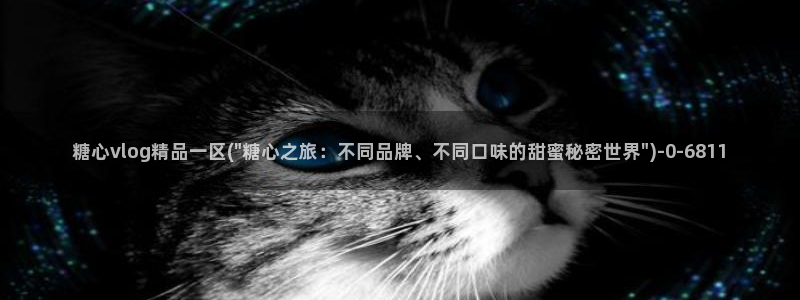 心糖vlog入口