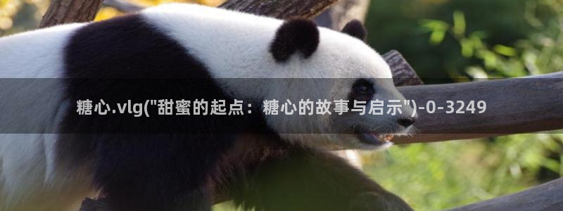 糖心vlog破解视频