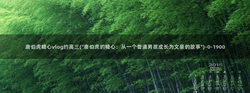 糖心vlog精产
