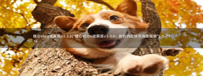 igao糖心vlog igao糖心vlog 版本下载