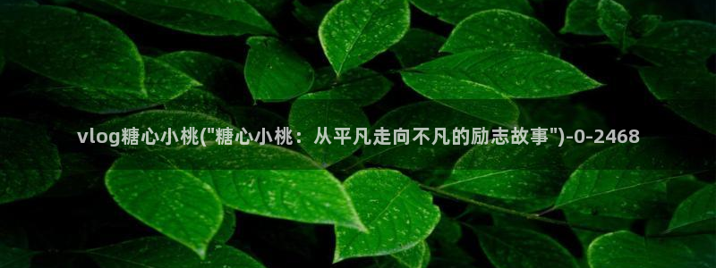 糖心vlog无限