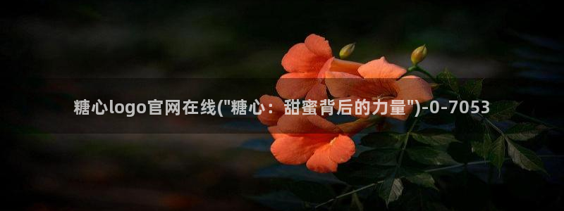 糖心vlog最新一集