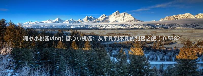糖心vlog小二