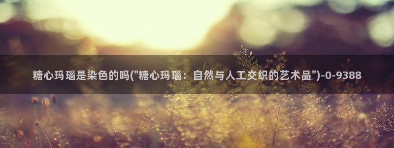 糖心vlog是什么意思